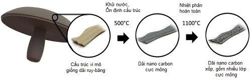 Phần xốp của nấm mỡ là nguyên liệu lý tưởng để chế tạo cực dương của pin. Ảnh: UC-Riverside.