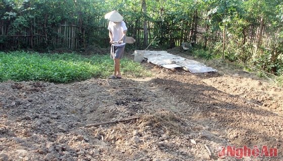 Người dân làng Mỏ Than, xã Tam Quang (Tương Dương) làm đất trồng cây vụ đông.  Ảnh: Hồ Phương