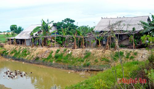 Mô hình kinh tế trang trại của gia đình anh Ngụy Đình Hoài ở xóm 3A, xã Nam Cường (Nam Đàn).