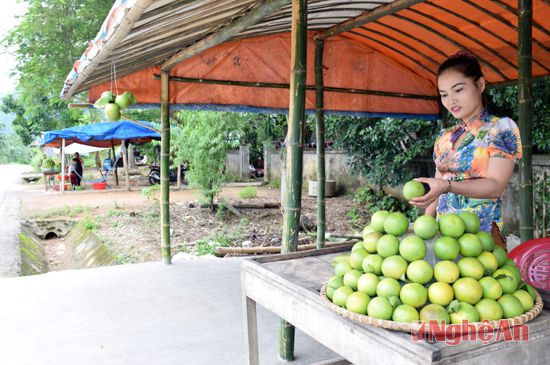 Dọc theo Quốc lộ 7A 