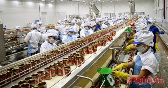 Dây chuyền đóng hộp tại Nhà máy Royal Foods. Ảnh: Lâm Tùng