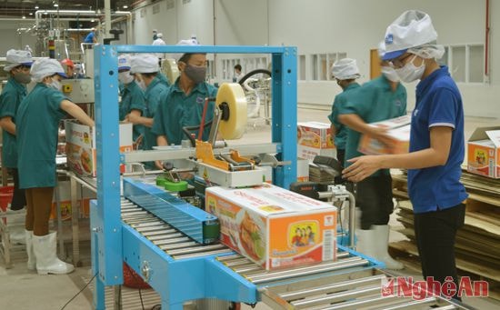 l Đóng gói sản phẩm tại Nhà máy chế biến cá hộp Royal Foods.Ảnh: Lâm Tùng