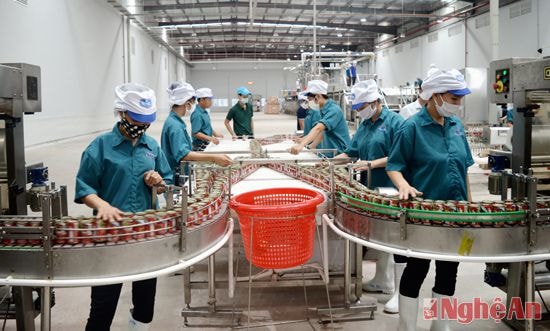 Dây chuyền đóng gói sản phẩm tại Nhà máy Royal Foods. Ảnh: Lâm Tùng