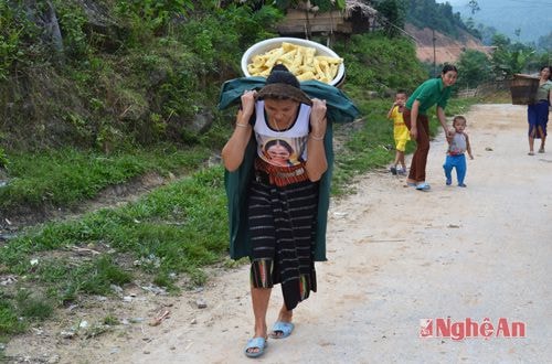 Vào rừng lấy măng là công việc của phụ nữ