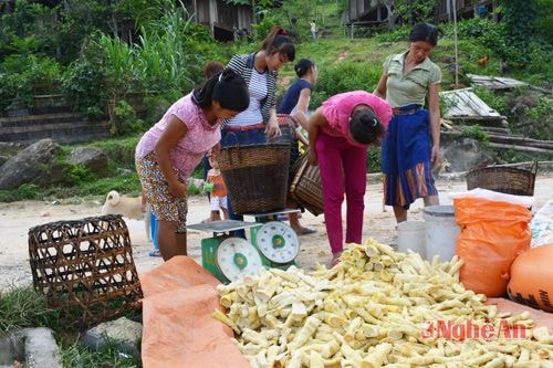 Sau khi sơ chế măng được bày bán ngay trong bản