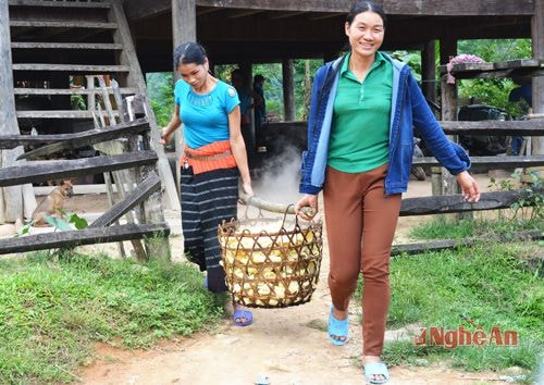 Mùa măng hằng năm đã góp phần cải thiện thu nhập cho bà con 