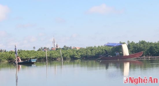 Rừng ngập mặn tạo nên cảnh quan du lịch mới