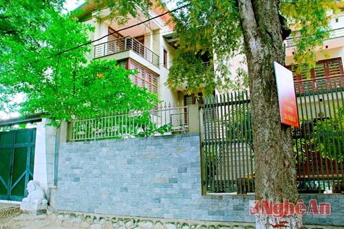 những ngôi biệt thự được nép mình dưới bóng mát của cây.