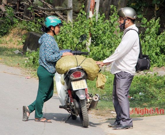 Thương lái ở Kỳ Sơn thu mua táo mèo về bán tại Thị trấn Mường Xén