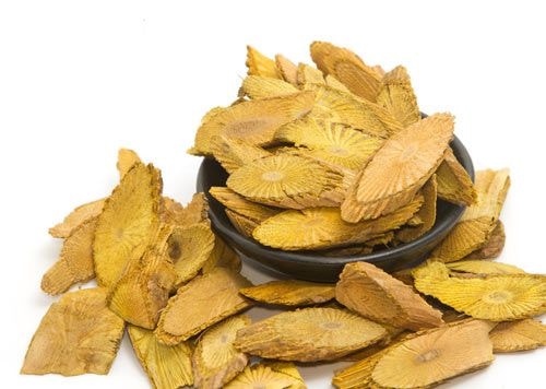 Vàng đằng – dược liệu quý sản xuất thuốc hạ cholesterol