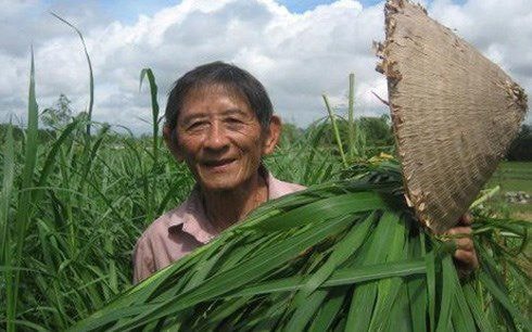 Anh hùng lao động Hồ Giáo .