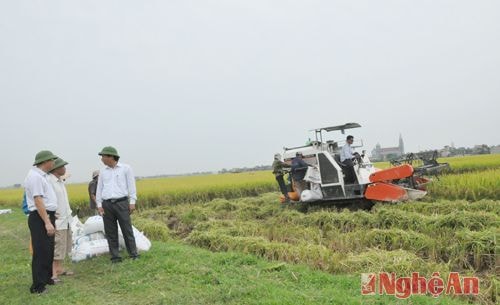 Lãnh đạo huyện ủy Quỳnh Lưu kiểm tra hiệu quả đưa cơ giới hóa vào sản xuất nông nghiệp