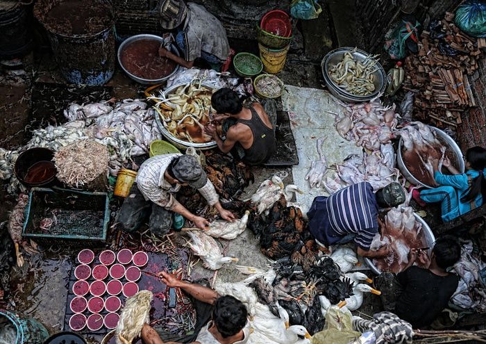 Giải thưởng cho khu vực châu Á-Thái Bình Dương thuộc về Peter Graney với bức ảnh “Giết mổ gia cầm để bán”, chụp tại Phnom Penh, Campuchia.