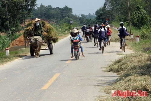 Học sinh cũng là những đối tượng đang phải chịu ảnh hưởng rất lớn trong việc phơi rơm, lúa ở các vị trí trên.