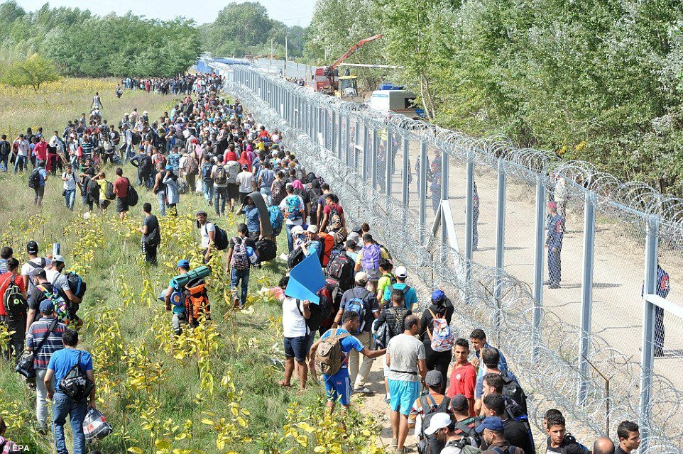 Biên giới giữa Hungary và Croatia giờ đây đã được chặn bởi hàng rào và quân đội. Ảnh: Reuters 