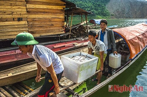 Hồ cung cấp một lượng lớn thủy sản sạch cho bà con trong vùng