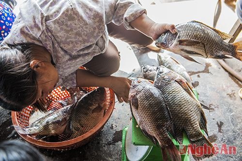 Cá bắt lên  được bán ngay tại bến