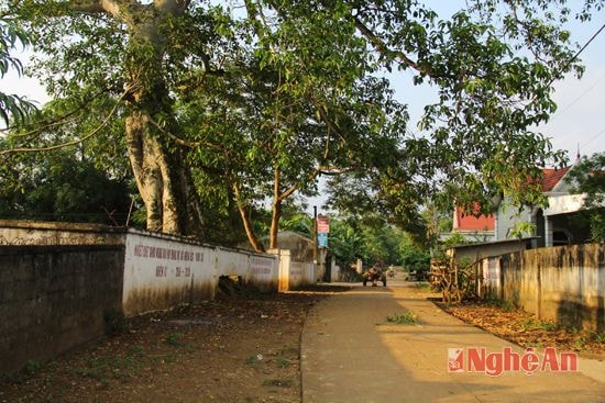 Đường làng Sú được bê tông hóa khang trang.