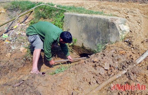 Nhân dân xã Mậu Đức khơi thông cống thoát nước để tránh úng ngập cho tuyến đường vào mùa mưa