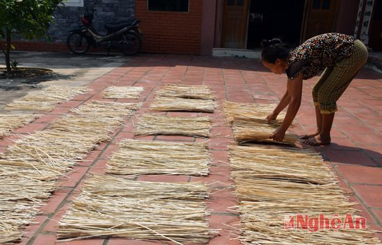 Sau khi chẻ xong giang và kết xong chổi, bà con phơi nắng cho khô để không bị mốc chổi.