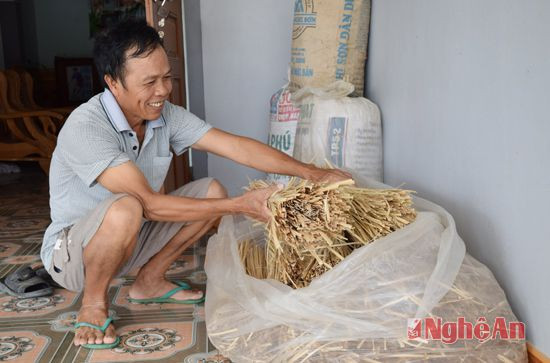 Ông Nguyễn Tài Sáu còn cẩn thận hơn, cất giữ lạt sau khi đã phơi khô vào túi bóng.