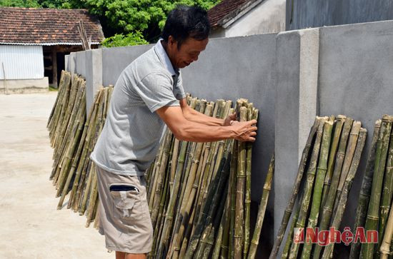 cán chổi làm bằng thân cây hóp, hoặc vàu, trước khi làm chổi phải phơi nắng thật khô.