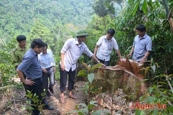 Đoàn kiểm tra thực hiện kiểm tra tại điểm báo chí phản ánh