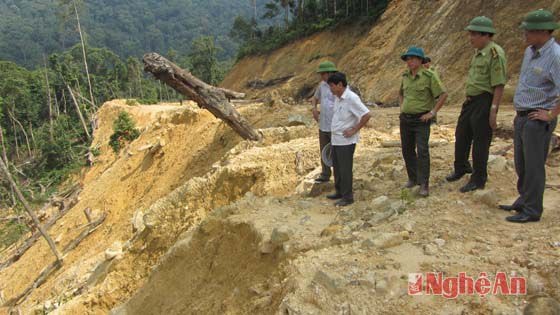 Tuy nhiên, bên phía ta luy âm của đường, việc tận thu tận dụng gỗ đảm bảo đúng quy định.