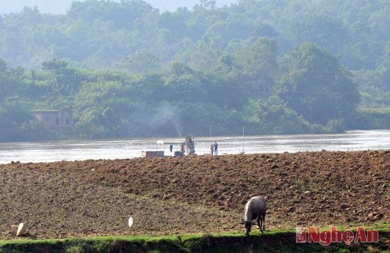 Khi lực lượng công an xã Vĩnh Sơn rút khỏi khu vực khai thác, các đối tượng tiếp tục cho thuyền ghé sát bờ.