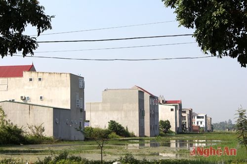 Khu quy hoạch chia lô đã đấu giá thành công ở Thị trấn Đô Lương.