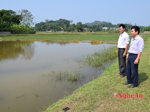 Cánh đồng nuôi cá vụ 3 ở Thanh Tiên