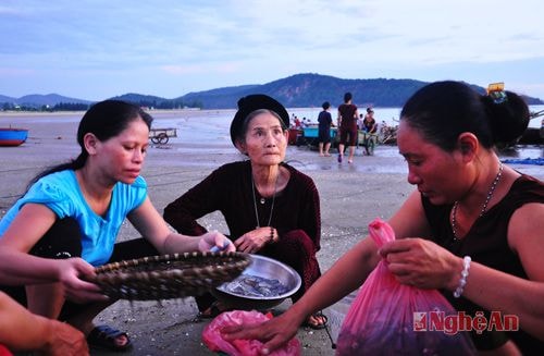 Người mẹ làng biển tảo tần sớm hôm (Ảnh: Trần Hải)