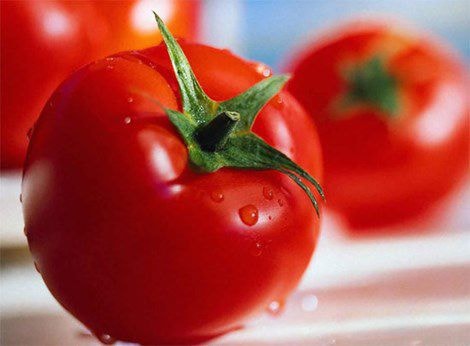 Cà chua cũng giúp giải rượu rất tốt. Hình minh họa. 