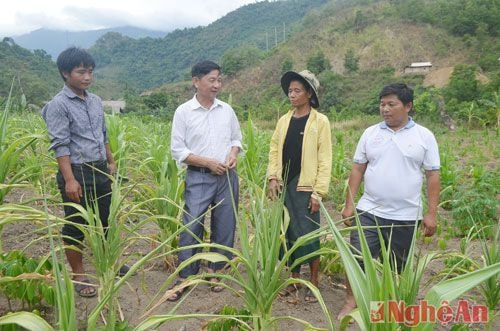 Cán bộ huyện Kỳ Sơn và xã Mường Ải trao đổi với nông dân địa phương về sản xuất nông nghiệp