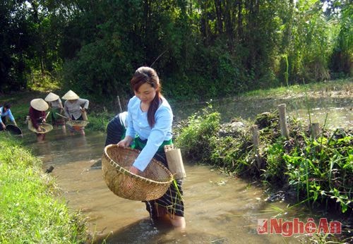 Đàn bà giỏi bắt cá
