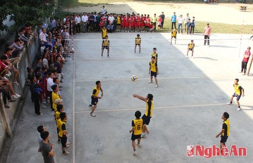 Môn bóng chuyền thu hút đông đảo khán giả theo dõi.