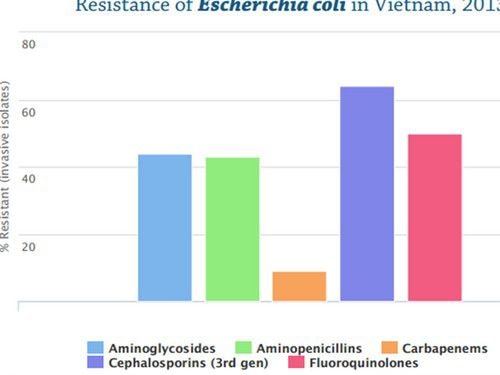 Tỷ lệ kháng thuốc kháng sinh của vi khuẩn E.coli tại Việt Nam năm 2013. 