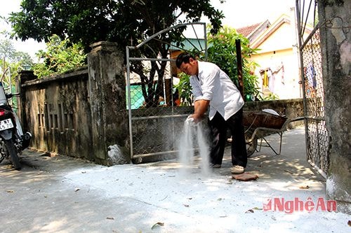 Rắc vôi tại khu vực chăn nuôi để phòng chống dịch tai xanh.