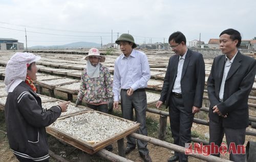 Lãnh đạo Thị ủy Hoàng Mai trao đổi với bà con ngư dân về nâng cao hơn nữa quy trình chế biến, bảo quản cá sau khi đánh bắt