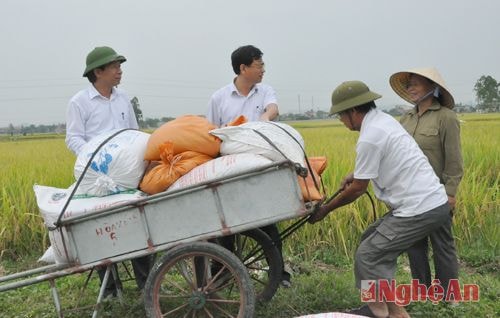 Lãnh đạo huyện Quỳnh Lưu trao đổi với bà con nông dân về tình hình sản xuất nông nghiệp