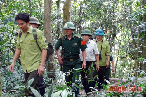 Lực lượng chức năng đang tuần tra rừng trên địa bàn huyện Quế Phong.