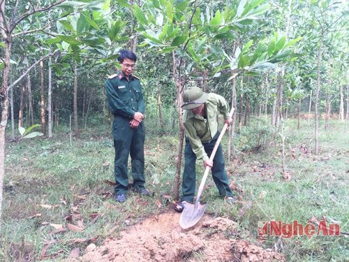  Lực lượng công binh rà phá bom mìn tại khu vực đất được bàn giao.