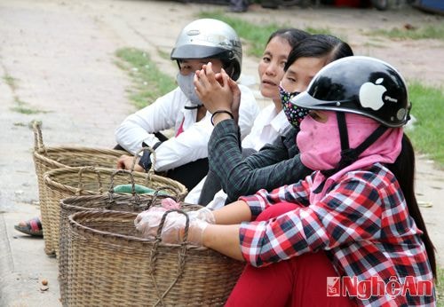 Mỗi năm mùa cọ đến, chị em phụ nữ bản Kẻ Nính đều om cọ lên, bỏ vào những chiếc giỏ rồi mang ra thị trấn Tân Lạc để bán.