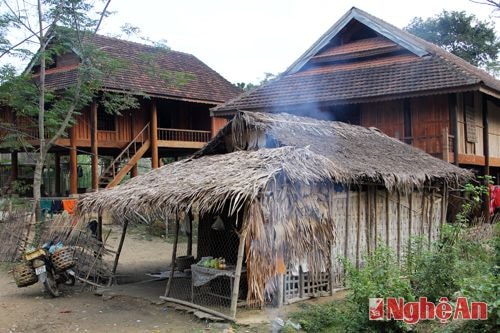 Những gia đình mới cưới nhau hoặc chưa có điều kiện kinh tế, sử dụng lá cọ vẫn là phương án tối ưu cho ngôi nhà của họ.