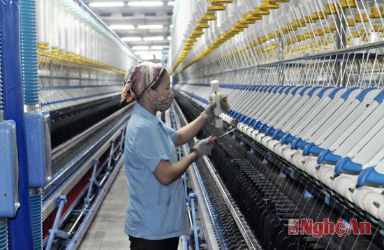 Dây chuyền sản xuất sợi của Công ty CP dệt may Hoàng Thị Loan