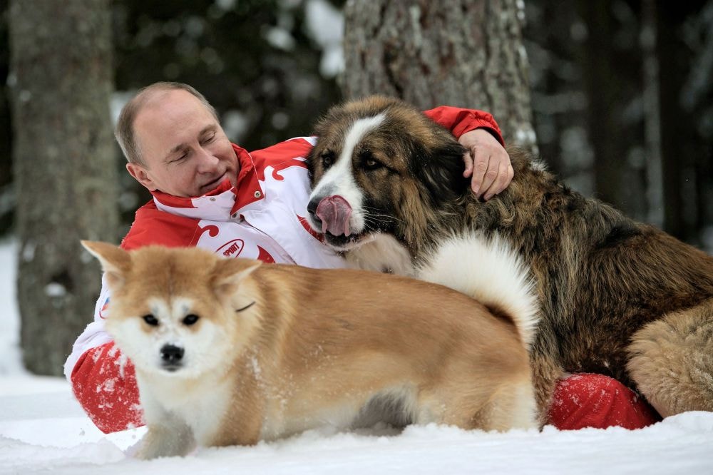 Tổng thống Nga Vladimir Putin với hai chó cưng Buffy và Yume đi dạo ở ngoại ô Moscow.