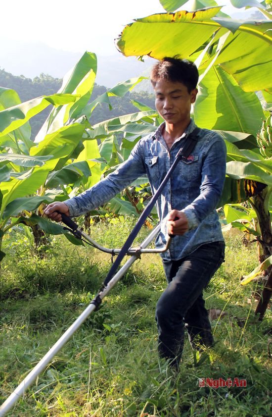 Moong Bảo Nguyên thoát nghèo nhờ 