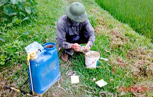 Vỏ bao thuốc BVTV vứt bừa bãi trên các bờ ruộng ở Hưng Nguyên