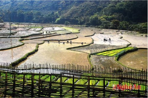 Bản Na xã Hữu Lập, Kỳ Sơn đã đưa cơ giới vào sản xuất nông nghiệp  Tác giả: Nguyễn Thu Hương.