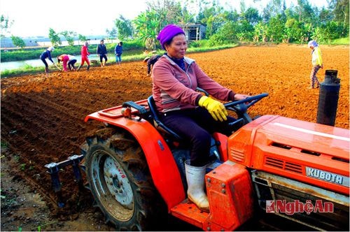 Cấy rãnh lạc xuân bằng máy cày nhỏ ở Diễn Thịnh, Diễn Châu  Tác giả: Trần Cảnh Yên.